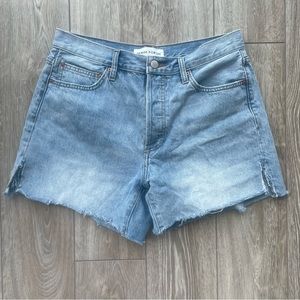 Aritzia Denim Forum Jean Shorts